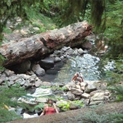Terwilliger Hot Springs