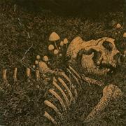 Thrall ‎– Aokigahara Jukai