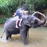 Ride a Particular Animal