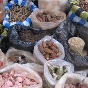 Eat Edible Foods From the Forest