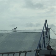 Mobile Bay Ferry