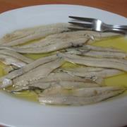 Cantabrian Boquerone