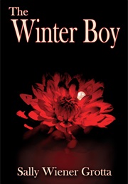 The Winter Boy (Sally Wiener Grotta)