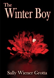 The Winter Boy (Sally Wiener Grotta)