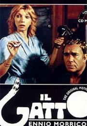 Il Gatto