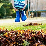 Jumped Into a Pile of Leaves