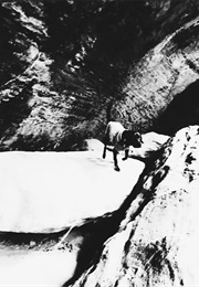 Molly's Story (Bruce W. Cameron)