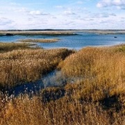 Lake Engure Nature Park, Latvia