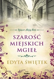 Szarość Miejskich Mgieł (Edyta Świętek)