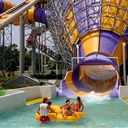 Blue Bayou and Dixie Landin'