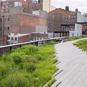 The High Line