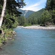 Olympic Peninsula, WA