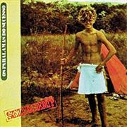 Os Paralamas Do Sucesso - Selvagem?