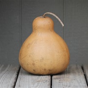 Gourd