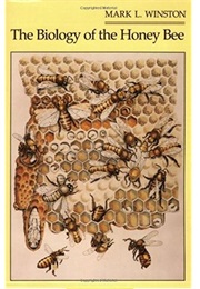 Biology of the Honeybee (Mark L. Winston)