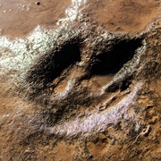 Subeng River Dinosaur Footprints, Lesotho