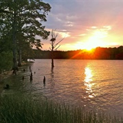 Williamsburg, Virginia