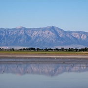 Great Salt Lake State Park, Utah