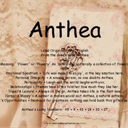 Anthea