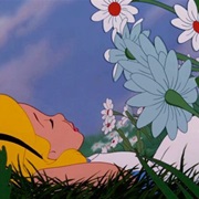 Napping on a Summer Day