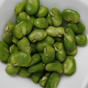 Fava Beans