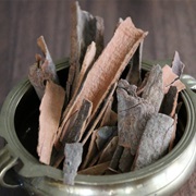 Malabar Cinnamon (Cinnamomum Citriodorum)