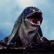 Pearl Oyster Protection Order