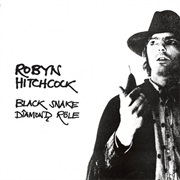 Robyn Hitchcock - Black Snake Diamond Role