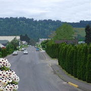 Woodland, Washington, USA