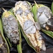 Huitlacoche (Corn Fungus)