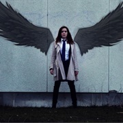 Had Any Dreams Related to Your Fandom