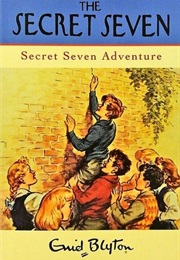 Secret Seven Series (Enid Blyton)