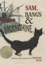 Sam Bangs &amp; Moonshine