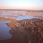 Fortescue Wildlife Management Area, New Jersey