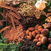 Visit a Spice Garden and Get to Know the Spices