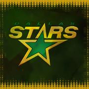 Dallas Stars Game