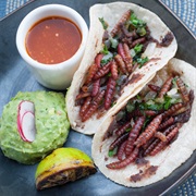 Mezcal Worm Taco