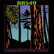 BR5-49 - Tangled in the Pines