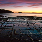 Tessellated Beach, Tasmania