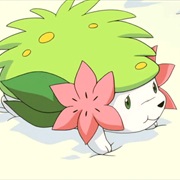 Shaymin