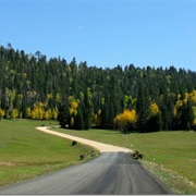 Kaibab Plateau-North Rim Parkway