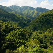 Blue and John Crow Mountains