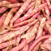 Shelling Bean