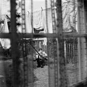 Chaos and Creation in the Back Yard - Paul McCartney