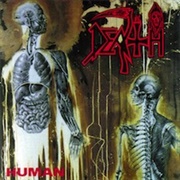 Death – Human