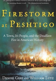 Firestorm at Peshtigo (Denise Gess)