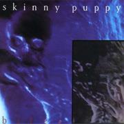 Skinny Puppy Bites