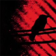 The Silver Mt. Zion Memorial Orchestra & Tra-La-La Band - "Born Into Trouble as the Sparks Fly Upwa.