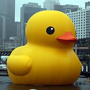Big Duckie
