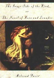 The Inner Side of the Wind (Milorad Pavic)